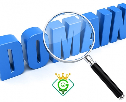 تاثیر دامنه بر سئو سایت - خدمات سئو سایت گلزاروب