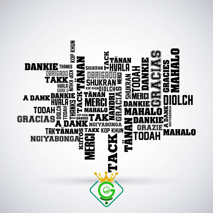 افزونه ضروری برای چند زبانه سازی سایت وردپرسی - گلزاروب