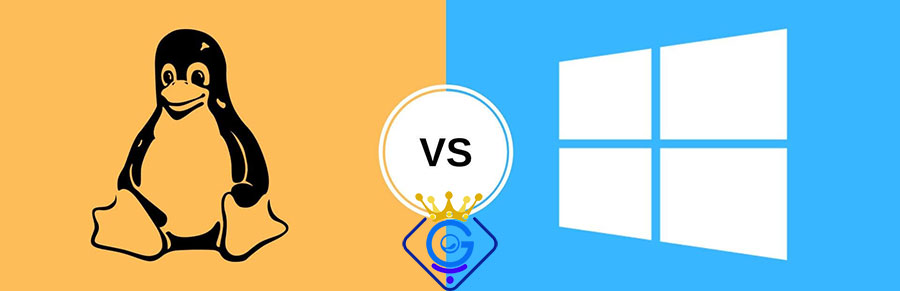 اهمیت دانایی در مورد هاست های ویندوز و لینوکس